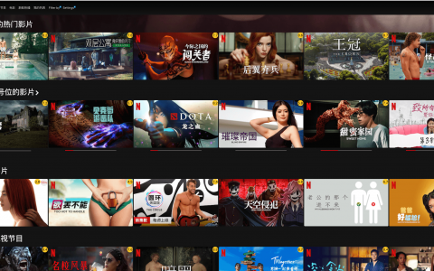 如何看Netflix？Netflix奈飞网飞会员有无必要？